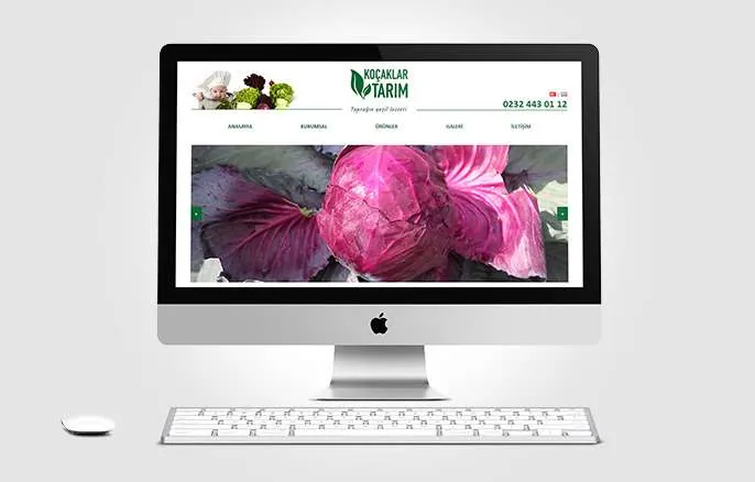 Koçaklar Tarım Web Sitesi